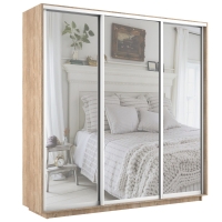 Шкаф-купе Экспресс 3дв.-зеркала, 210х60х240, Сонома