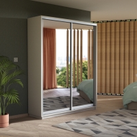 Шкаф-купе Экспресс, 2дв.-Зеркала, 160х45х220, Белый снег