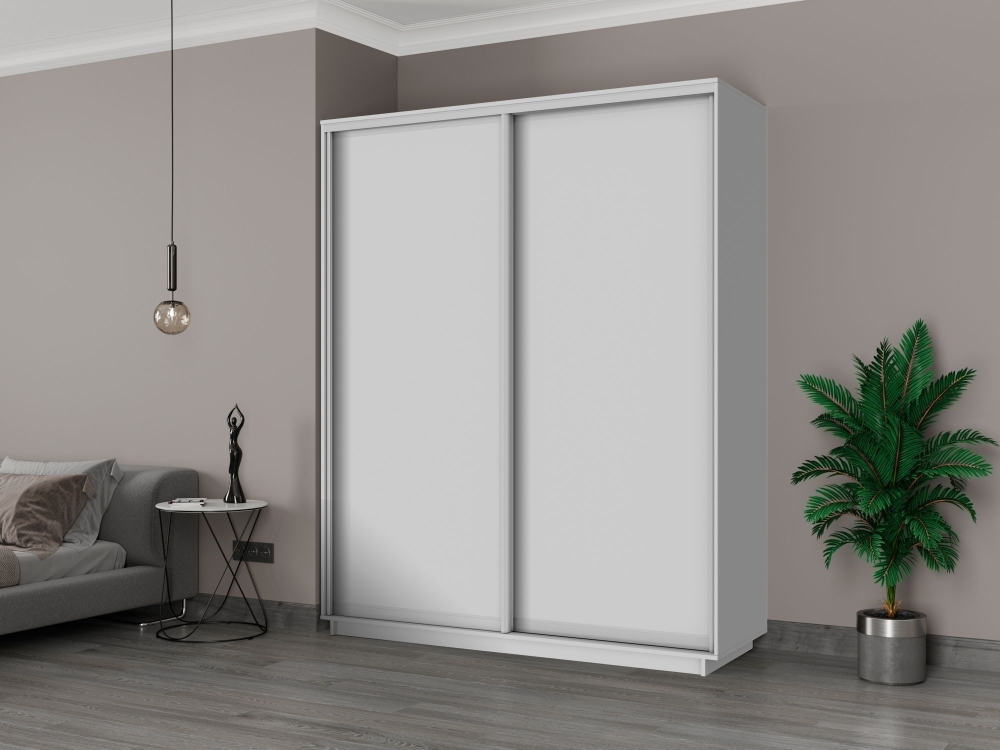 Шкаф-купе Экспресс, 2дв.-ДСП, 180х45х220, Белый снег