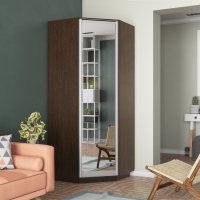 Шкаф распашной Распашной Угловой Экспресс 90х90х220 см