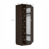 Шкаф распашной Распашной Угловой Экспресс 90х90х220 см