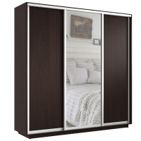 Шкаф-купе Экспресс 3дв. ДСП/Зеркало/ДСП, 210х45х220, Венге