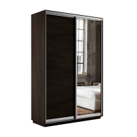 Шкаф-купе Экспресс, 2дв. ДСП/Зеркало, 120х45х220, Венге