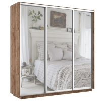 Шкаф-купе Экспресс 3дв.-зеркала, 240х60х220, Дуб табачный