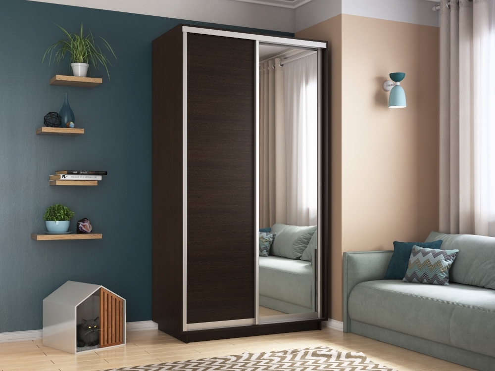 Шкаф-купе Экспресс Хит, 2дв. ДСП/Зеркало, 120х60х220, Венге