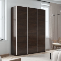 Шкаф-купе Прайм 3дв.-ДСП, 210х57х230, Венге