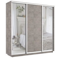 Шкаф-купе Экспресс 3дв. Зеркало/ДСП/Зеркало, 210х60х240, Бетон