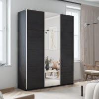 Шкаф-купе Прайм, 3дв. ДСП/Зеркало/ДСП/доводчики, 180х57х230, Венге