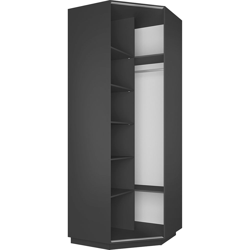 Шкаф распашной Распашной Угловой Экспресс 90х90х220 см