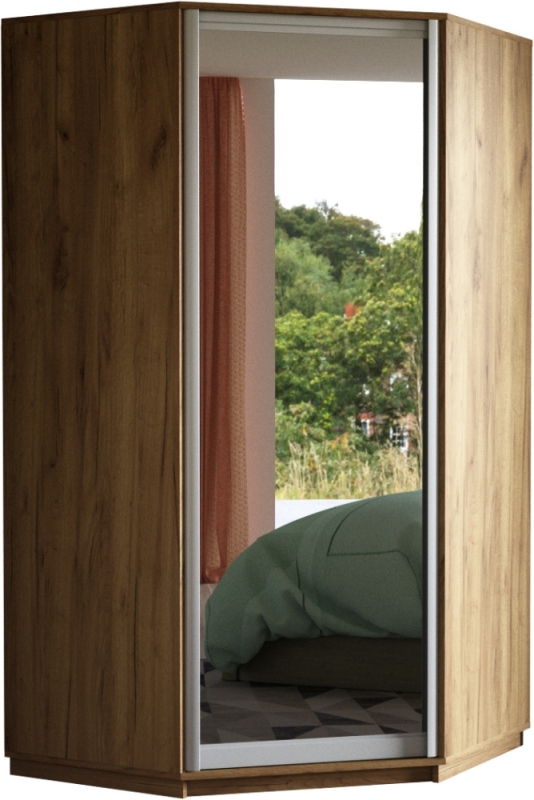 Шкаф распашной Распашной Угловой Экспресс 90х90х220 см