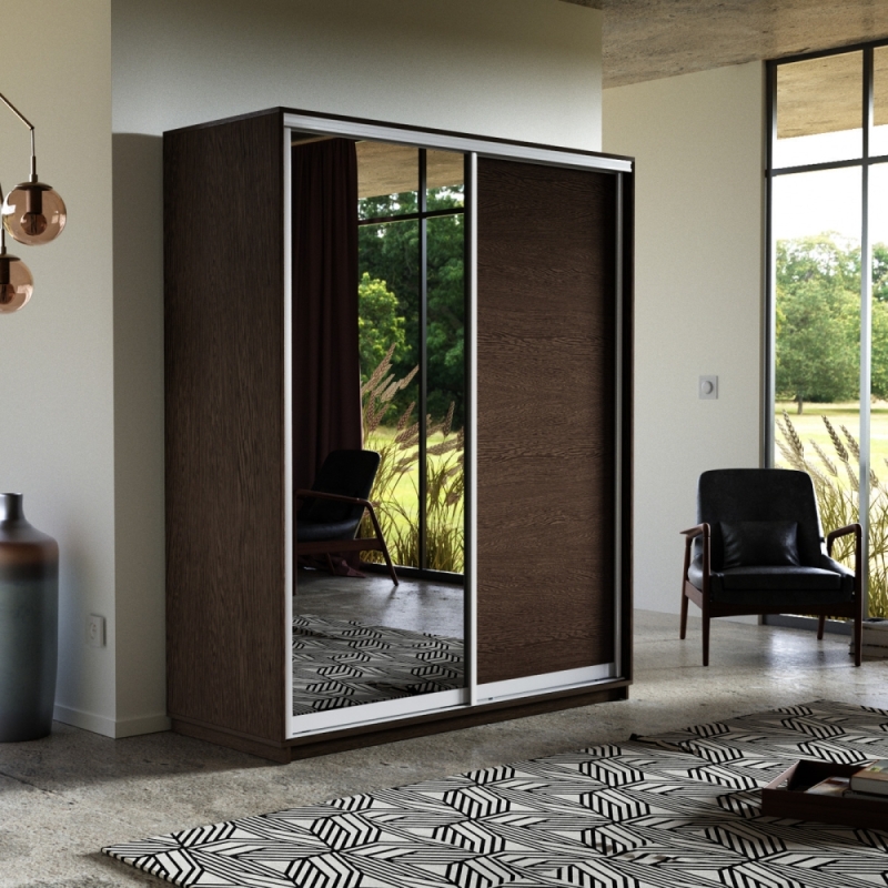 Шкаф-купе Экспресс, 2дв. ДСП/Зеркало, 120х60х220, Венге