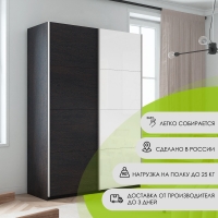 Шкаф-купе Прайм, 2дв. ДСП/Белый Глянец/доводчики, 120х57х230, Венге