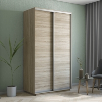 Шкаф-купе Экспресс Хит, 2дв.-ДСП, 120х60х220, Сонома