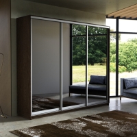 Шкаф-купе Экспресс 3дв.-зеркала, 180х45х220, Венге