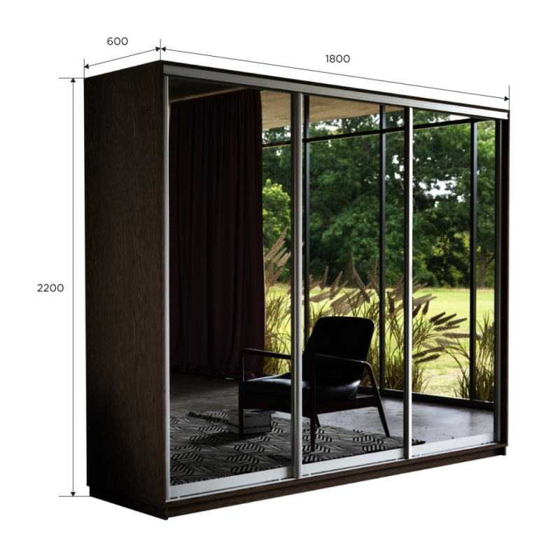 Шкаф-купе Экспресс 3дв.-зеркала, 180х60х220, Венге