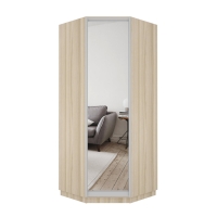 Шкаф распашной Распашной Угловой Экспресс 90х90х220 см