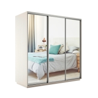 Шкаф-купе Экспресс 3дв.-зеркала, 180х60х220, Ясень шимо светлый