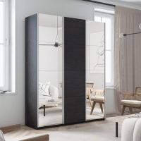 Шкаф-купе Прайм, 3дв. Зеркало/ДСП/Зеркало/доводчики, 180х57х230, Венге