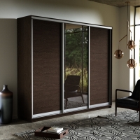 Шкаф-купе Экспресс 3дв. ДСП/Зеркало/ДСП, 180х45х220, Венге