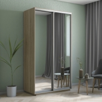 Шкаф-купе Экспресс Хит, 2дв.-зеркала, 120х60х220, Сонома