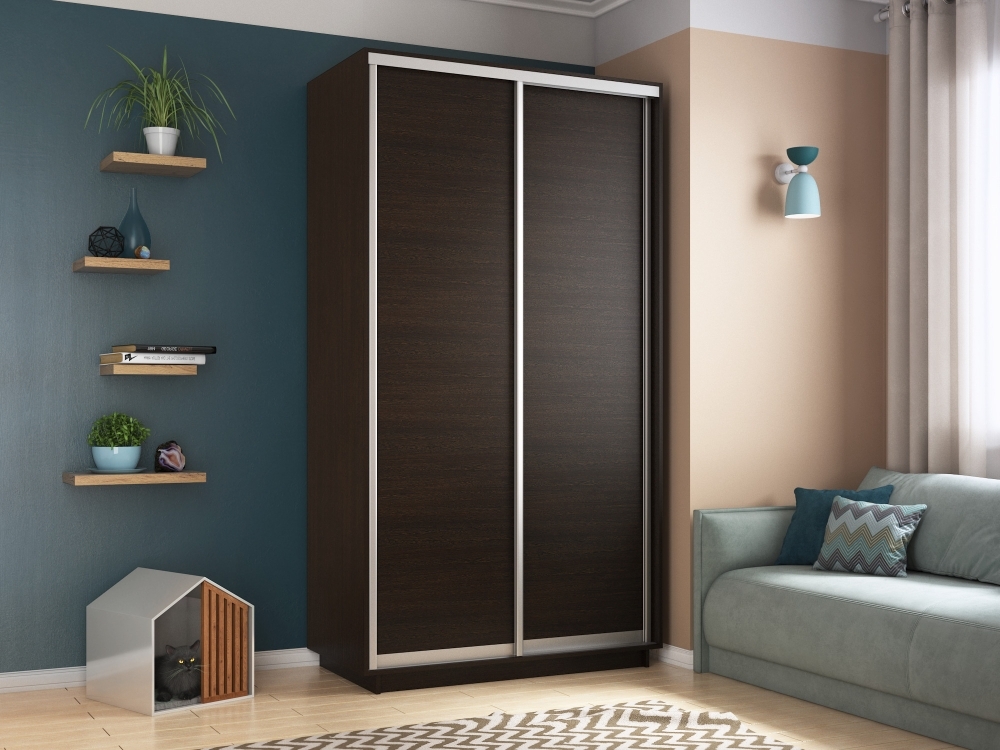 Шкаф-купе Экспресс Хит, 2дв.-ДСП, 120х60х220, Венге