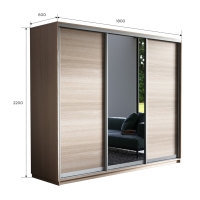 Шкаф-купе Экспресс 3дв. ДСП/Зеркало/ДСП, 180х60х220, Ясень шимо светлый