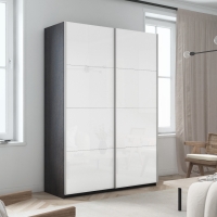 Шкаф-купе Прайм, 2дв. Белый Глянец/доводчики, 120х57х230, Венге