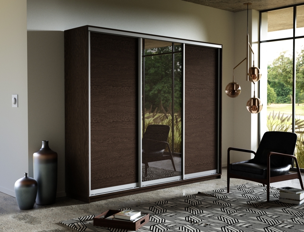 Шкаф-купе Экспресс 3дв. ДСП/Зеркало/ДСП, 180х45х240, Венге