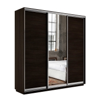Шкаф-купе Экспресс 3дв. ДСП/Зеркало/ДСП, 180х45х240, Венге