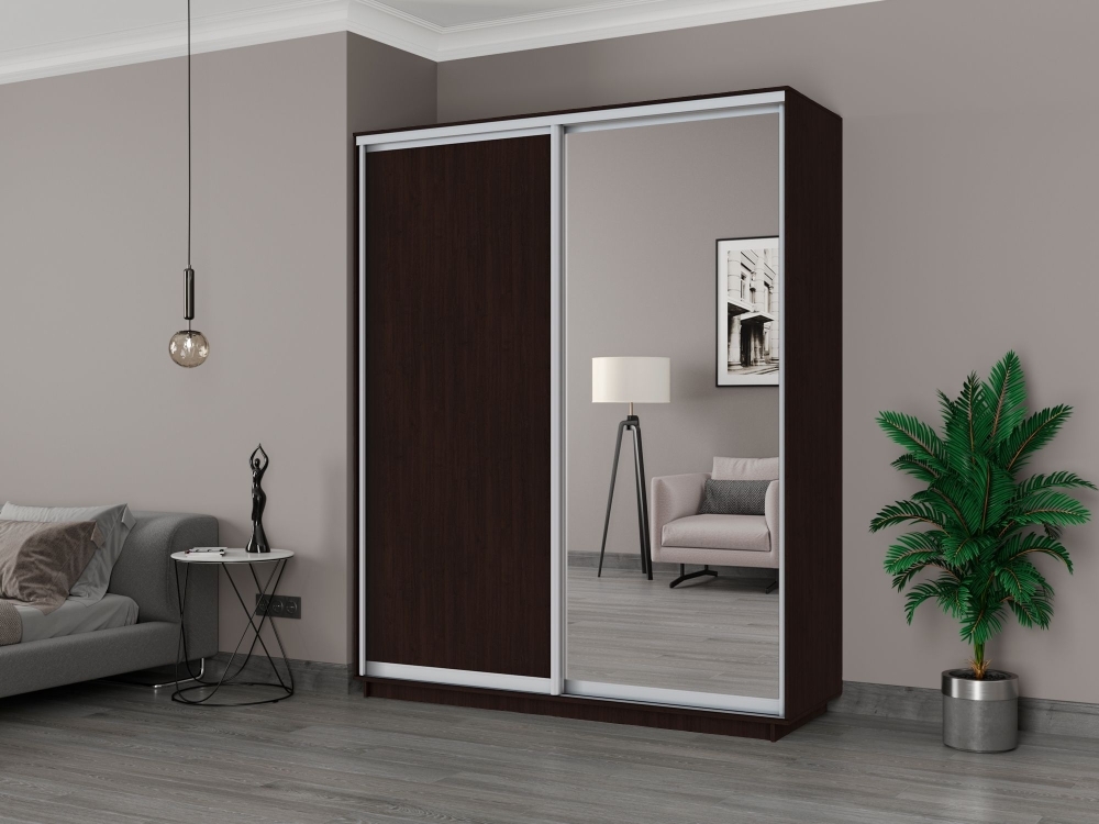 Шкаф-купе Экспресс, 2дв. ДСП/Зеркало, 180х60х220, Венге