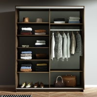 Шкаф-купе Экспресс, 2дв.-ДСП, 160х60х240, Венге