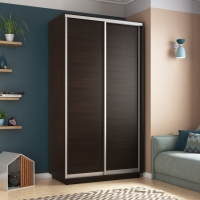 Шкаф-купе Экспресс Хит, 2дв.-ДСП, 120х60х220, Венге