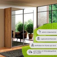Шкаф-купе Прайм, 2дв.-Зеркало/доводчики, 120х57х230, Крафт табачный