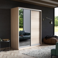 Шкаф-купе Экспресс, 2дв. ДСП/Зеркало, 160х60х220, Ясень Шимо светлый