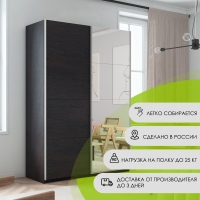 Шкаф-купе Прайм, 2дв. ДСП/Зеркало/доводчики, 120х57х230, Венге