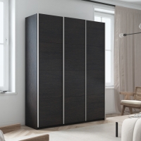 Шкаф-купе Прайм 3дв.-ДСП/доводчики, 180х57х230, Венге