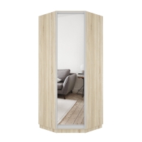 Шкаф распашной Распашной Угловой Экспресс 90х90х220 см