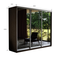 Шкаф-купе Экспресс 3дв.-зеркала, 180х60х220, Венге