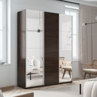 Шкаф-купе Прайм, 3дв. Зеркало/ДСП/Зеркало/доводчики, 210х57х230, Венге