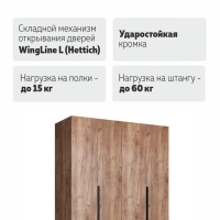 Распашной шкаф Локер 800+800 ("WingLine") Крафт табачный