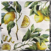 Салфетки бумажные "Лимон" NEW, Bulgaree Green,  33*33 см, 3 слоя, 20 шт.