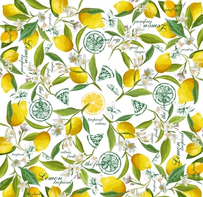 Салфетки бумажные "Лимон" NEW, Bulgaree Green,  33*33 см, 3 слоя, 20 шт.